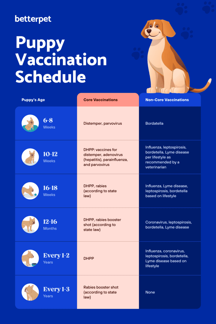 Puppy vaccination guide