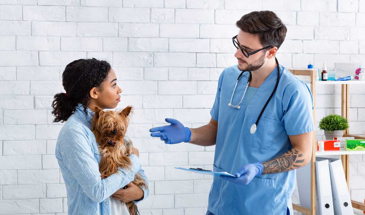 Professional veterinarian doctor talking to client in medical office