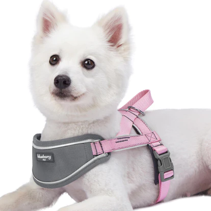 Blueberry Soft & Comfy Dog Harness Vest