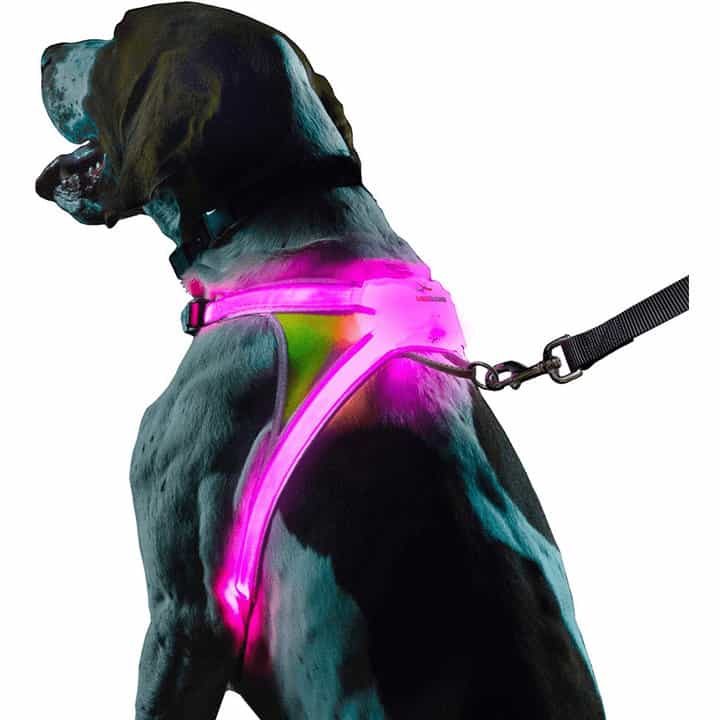 Noxgear LightHound and Reflective Harness