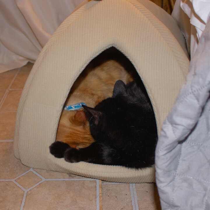 Best cat bed Tent Soft-Bed cats sleeping