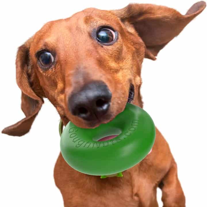8 Best Indestructible Dog Toys For Tough Dogs (1000+ Tested) - Dog Lab