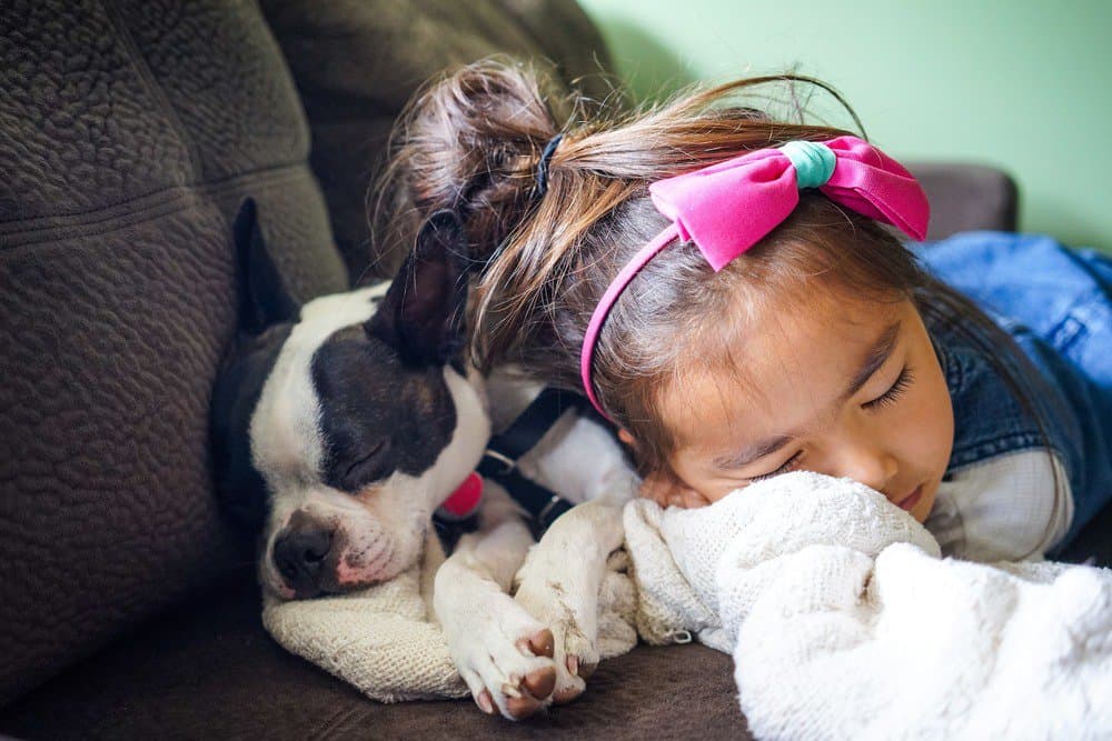Young child sleeping next to a small dog on a sofa